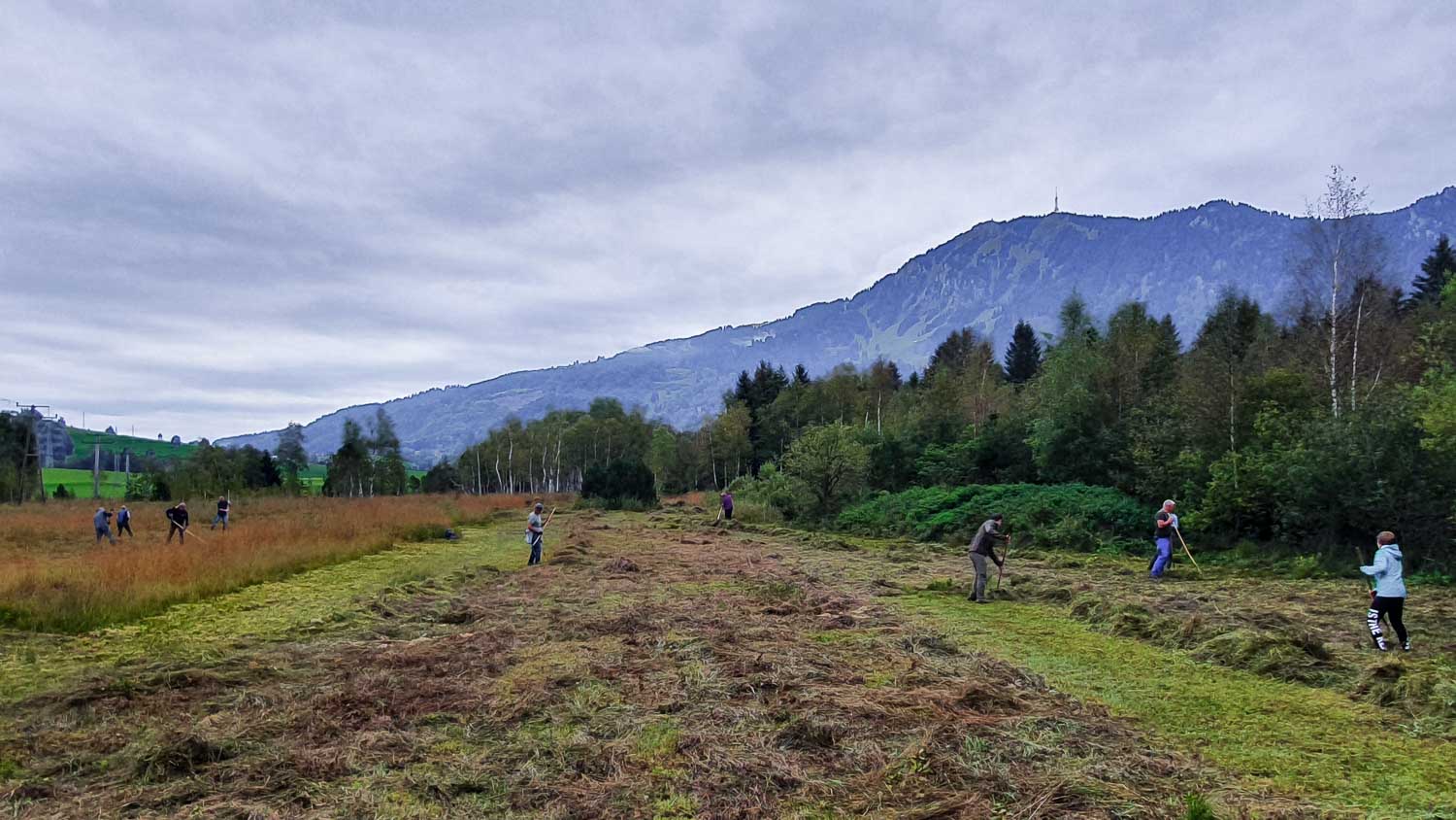 Heuaktion am 24.09.2022 im Felmermoos