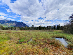 Felmer Moos Landschaft