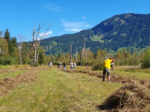 Heuabtrag im Felmer Moos