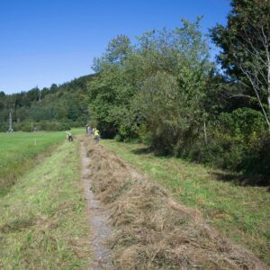 Heuaktion im Felmer Moos 2025