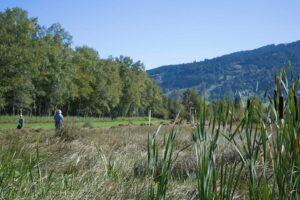 Heuaktion im Felmer Moos 2025