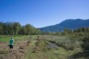 Heuaktion im Felmer Moos 2025