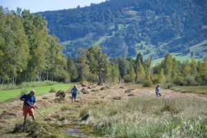 Heuaktion im Felmer Moos 2025