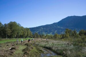 Heuaktion im Felmer Moos 2025