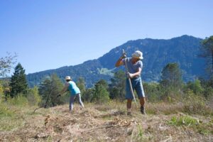 Heuaktion im Felmer Moos 2025