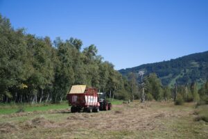 Heuaktion im Felmer Moos 2025