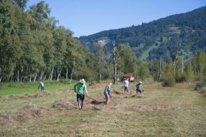 Heuaktion im Felmer Moos 2025