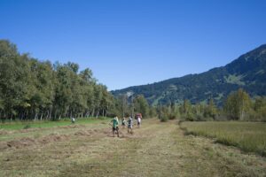 Heuaktion im Felmer Moos 2025