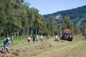 Heuaktion im Felmer Moos 2025