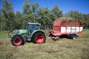 Heuaktion im Felmer Moos 2025