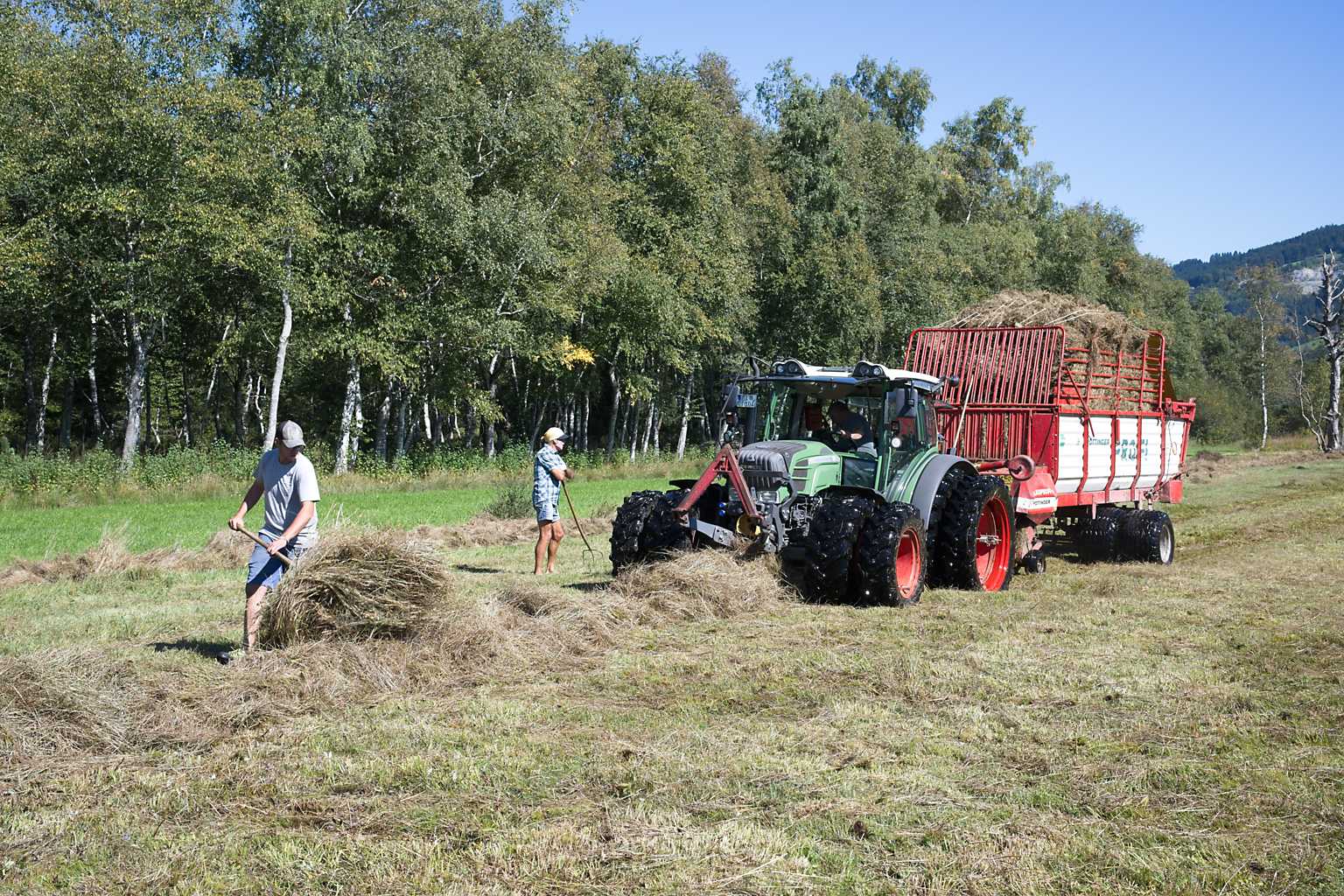 Heuaktion im Felmer Moos 2025