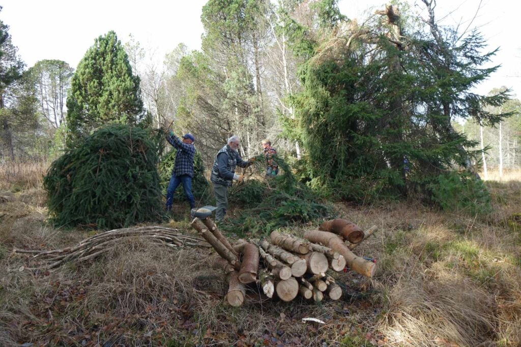 Fällaktionen Winter 2025/2026