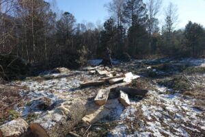 Fällaktionen Winter 2025/2026